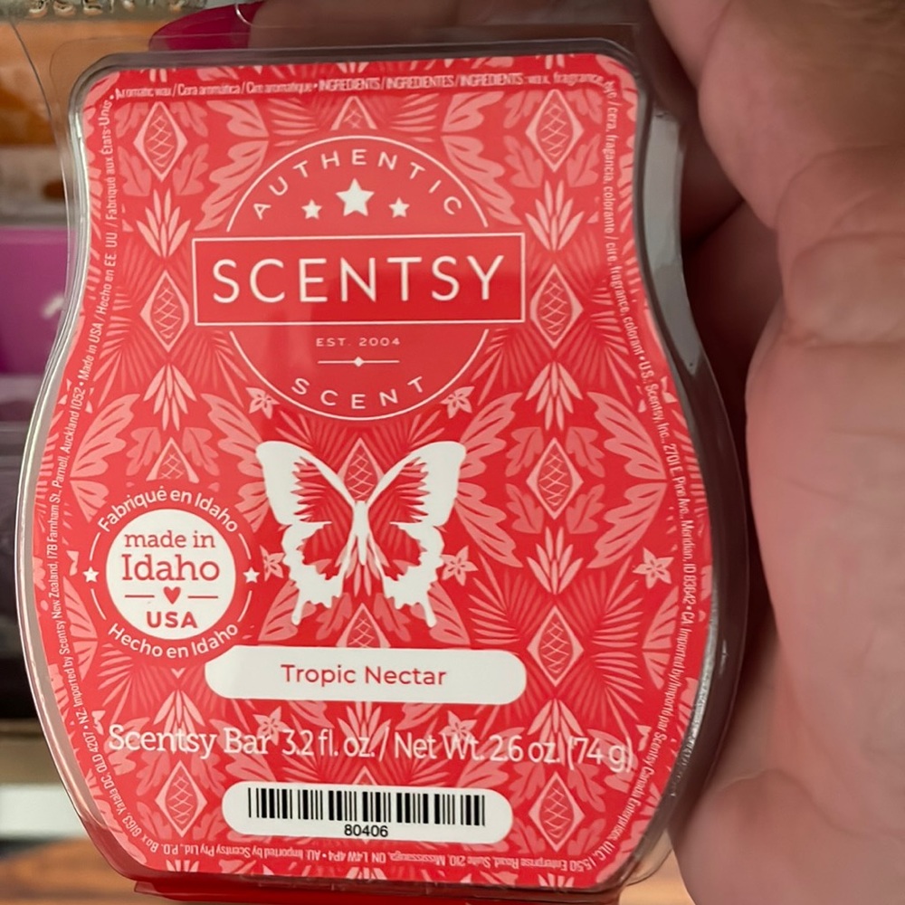 🍉☀️🌻👗Scentsy BARS 10 pack bundle